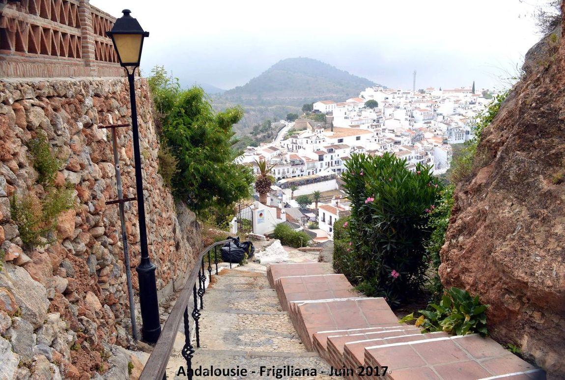 575 - Frigiliana.JPG